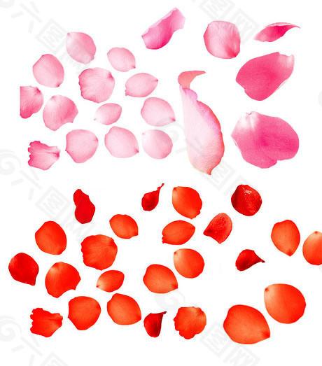 海通众合 科创板第五套标准重启后，首家拟IPO企业过会