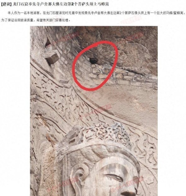 顺策略 洛阳龙门石窟一佛像头顶有马蜂窝？回应：已派专人处理