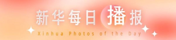 亿海配资 新华每日播报｜11月3日